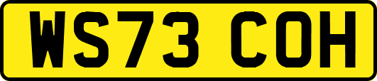 WS73COH