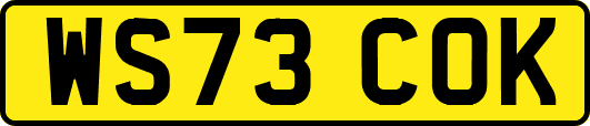 WS73COK