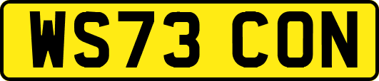 WS73CON