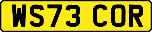 WS73COR