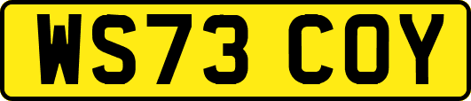 WS73COY