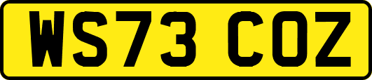 WS73COZ