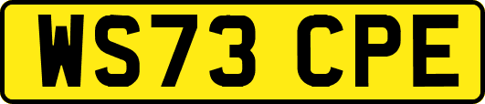 WS73CPE