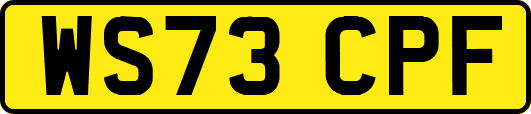 WS73CPF