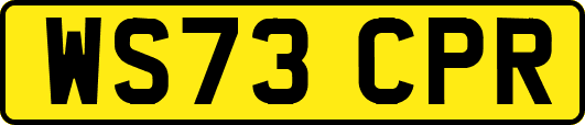 WS73CPR