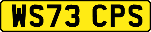 WS73CPS