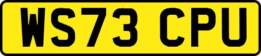 WS73CPU