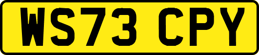 WS73CPY