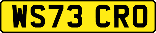 WS73CRO