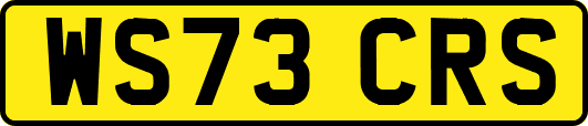 WS73CRS