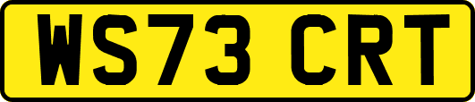 WS73CRT