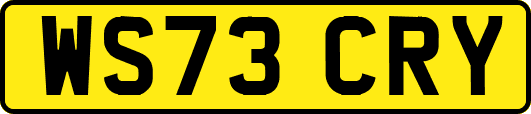 WS73CRY