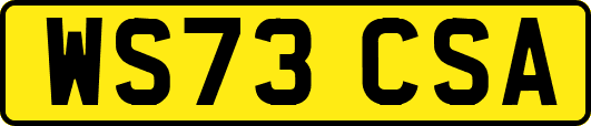 WS73CSA