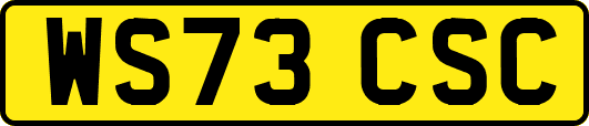 WS73CSC