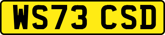 WS73CSD