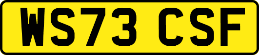 WS73CSF