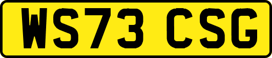 WS73CSG