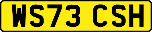 WS73CSH