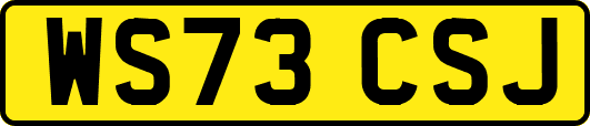 WS73CSJ