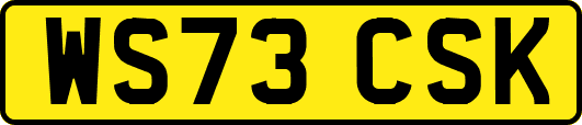WS73CSK