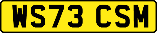 WS73CSM