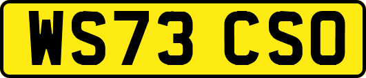 WS73CSO