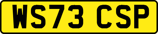 WS73CSP