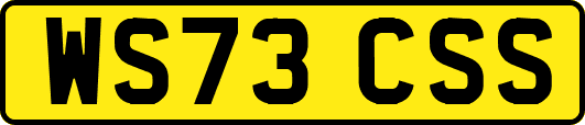 WS73CSS