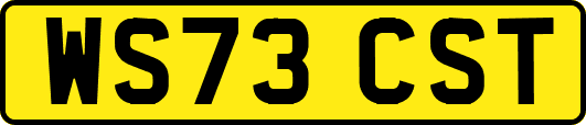WS73CST