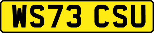 WS73CSU