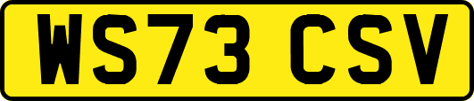 WS73CSV
