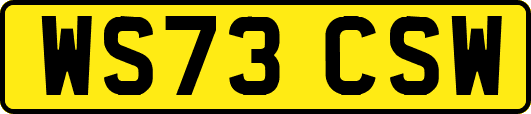 WS73CSW