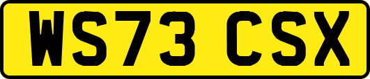 WS73CSX