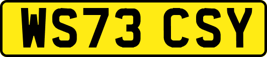 WS73CSY