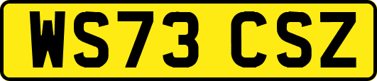WS73CSZ