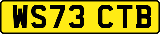 WS73CTB