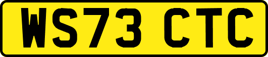 WS73CTC