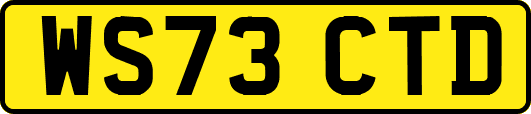WS73CTD