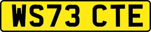 WS73CTE