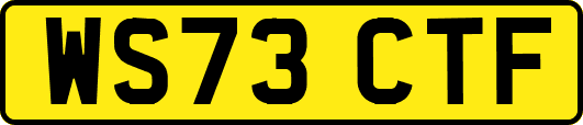 WS73CTF
