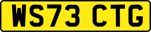 WS73CTG