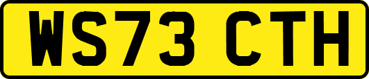 WS73CTH
