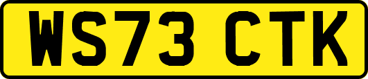 WS73CTK