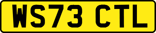WS73CTL