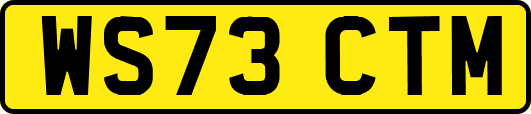 WS73CTM