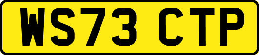WS73CTP