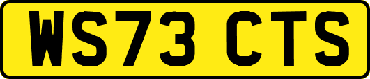 WS73CTS