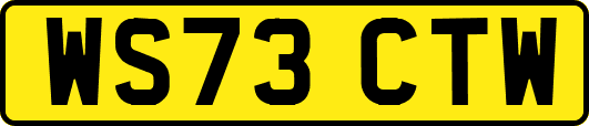 WS73CTW