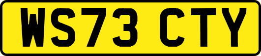 WS73CTY