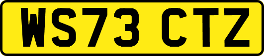 WS73CTZ